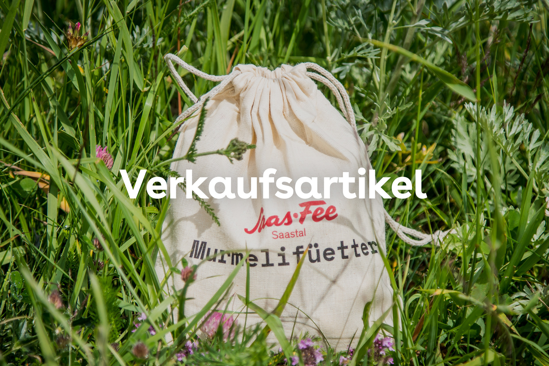 Saastal Tourismus AG